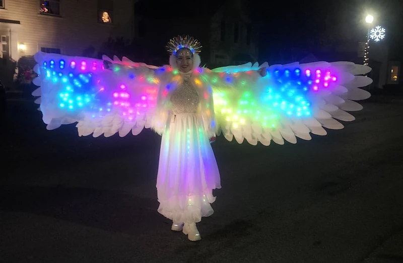 LED Snowbirds - Roamer / Dancer  - Winter theme performer