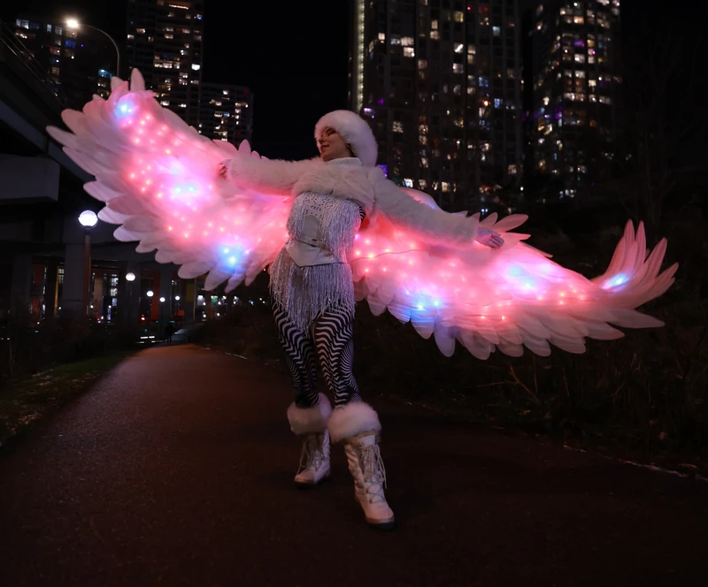 LED Snowbirds - Roamer / Dancer  - Winter theme - image 3 performer