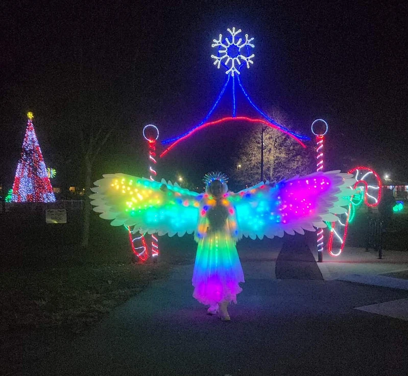 LED Snowbirds - Roamer / Dancer  - Winter theme - image 4 performer