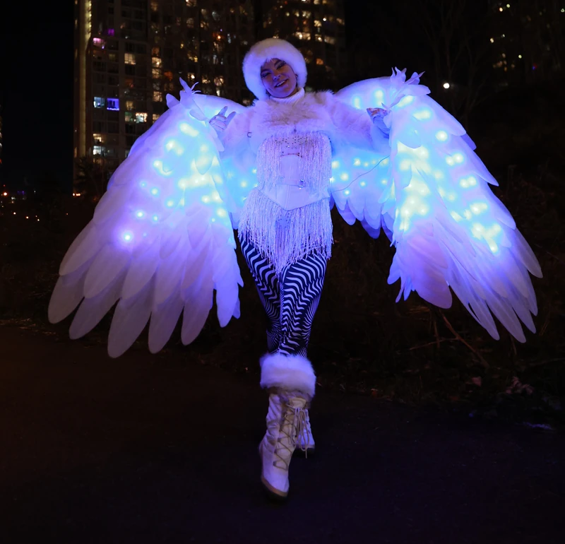 LED Snowbirds - Roamer / Dancer  - Winter theme - image 5 performer