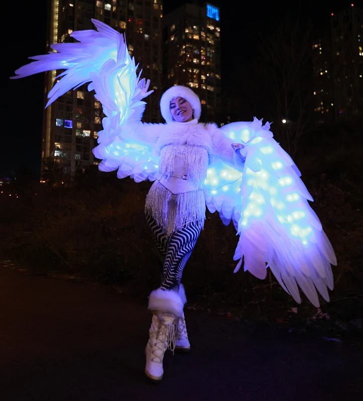 LED Snowbirds - Roamer / Dancer  - Winter theme - image 6 performer