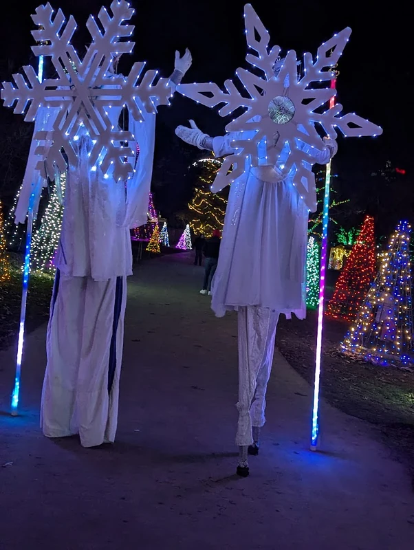 Snowflake Fantasy - Stiltwalker - Family Friendly theme - image 9