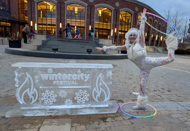 Sparkle Spins - Flow Artist / Hula Hooper - LED Lights theme - image 12