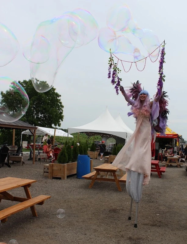 Stilt Bubble Unicorn - Bubble Artist - Family Friendly theme - image 6