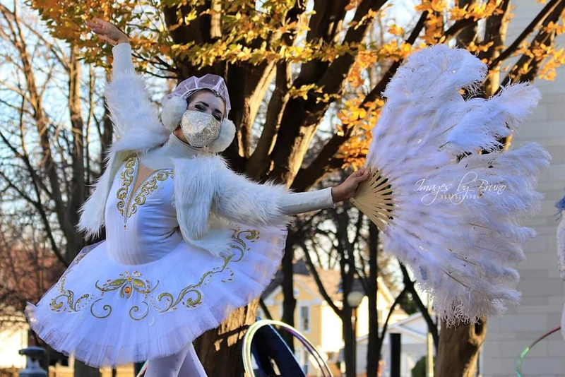 Swan Lake  - Roamer / Dancer  - Elegant theme - image 2 performer