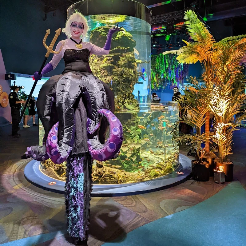 Ursula the Sea Witch - Stiltwalker - Family Friendly theme - image 5
