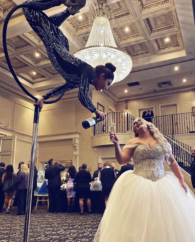 Wine Pour - Aerialist - Elegant theme performer