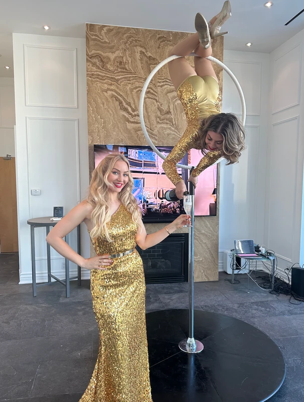 Wine Pour - Aerialist - Elegant theme - image 2 performer