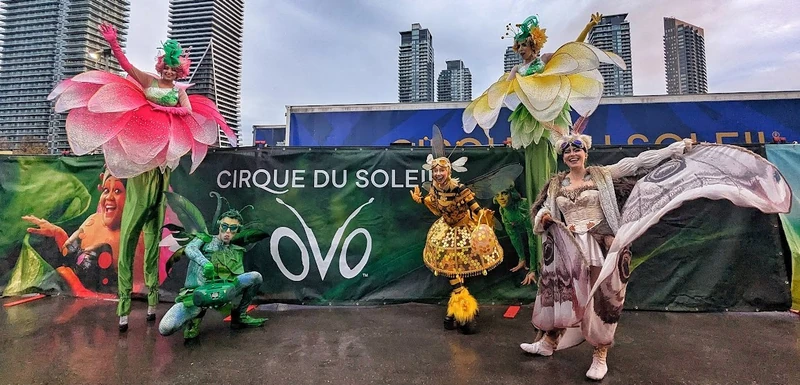 Insectarium  - Image 6