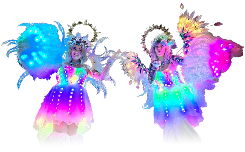 Hala Circus Arts performer 4