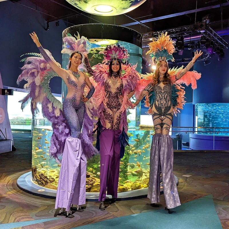 Feathers Circus Entertainers Toronto